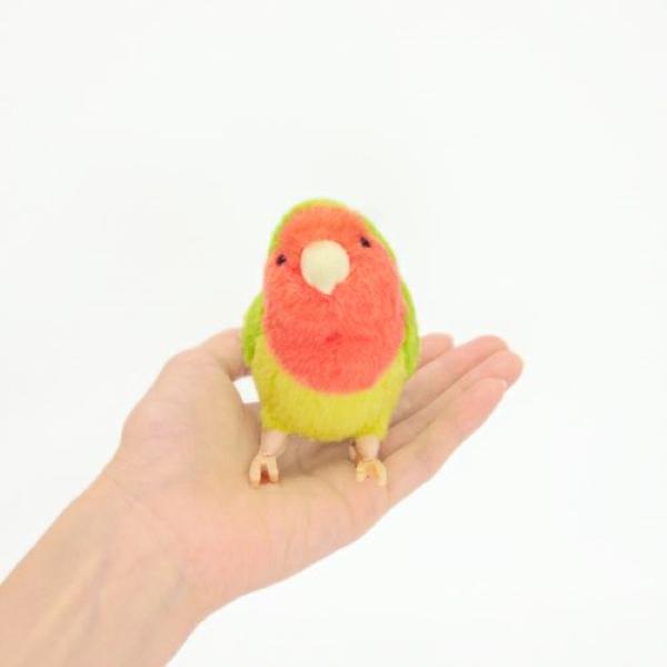 吉徳大光 在庫あり りくのなかまたち ことりのね コザクラインコ