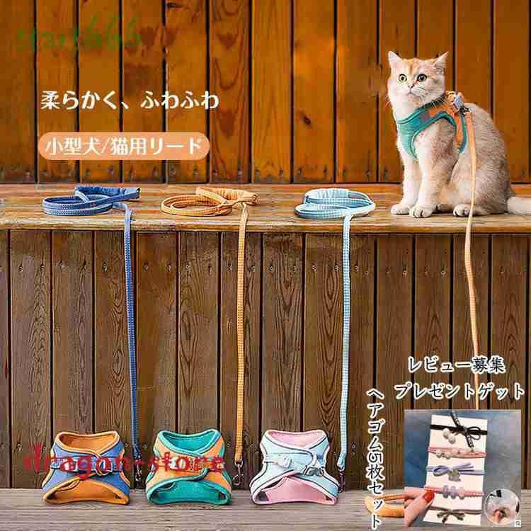 SALE/74%OFF】 猫用胴輪とリードセット atak.com.br SALE/74%OFF】 猫用胴輪とリードセット atak.com.br