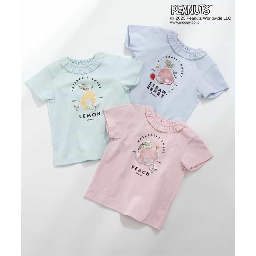 プレミアムプロヘマチン濃密原液 50ml フラコラ : 1077-010260 