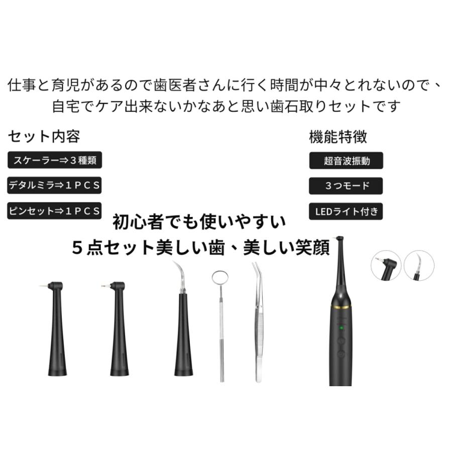 即日発送 歯石取り 超音波 スケーラー 歯用ツール 電動 歯クリーナー 歯石 口臭 口腔洗浄器 除去 歯垢とり器具 電動歯ブラシ 自分で取る 安値 充電式 Ipx6防水