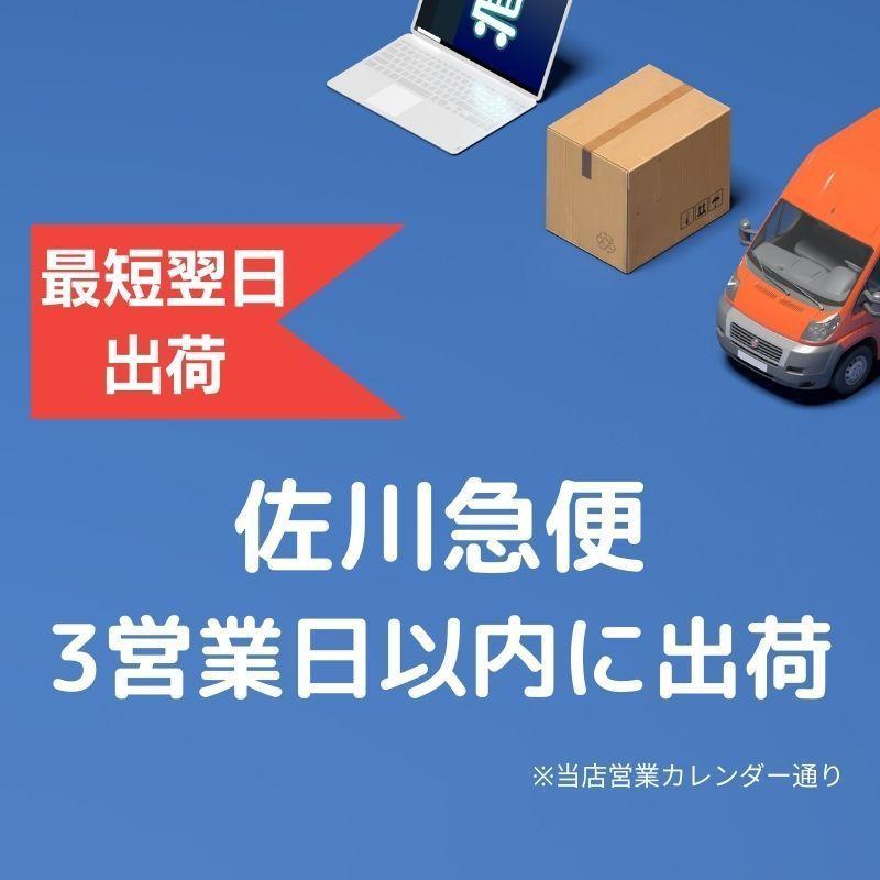 ビックバスケット付き】折りたたみ電動アシスト自転車【変速なし/26 
