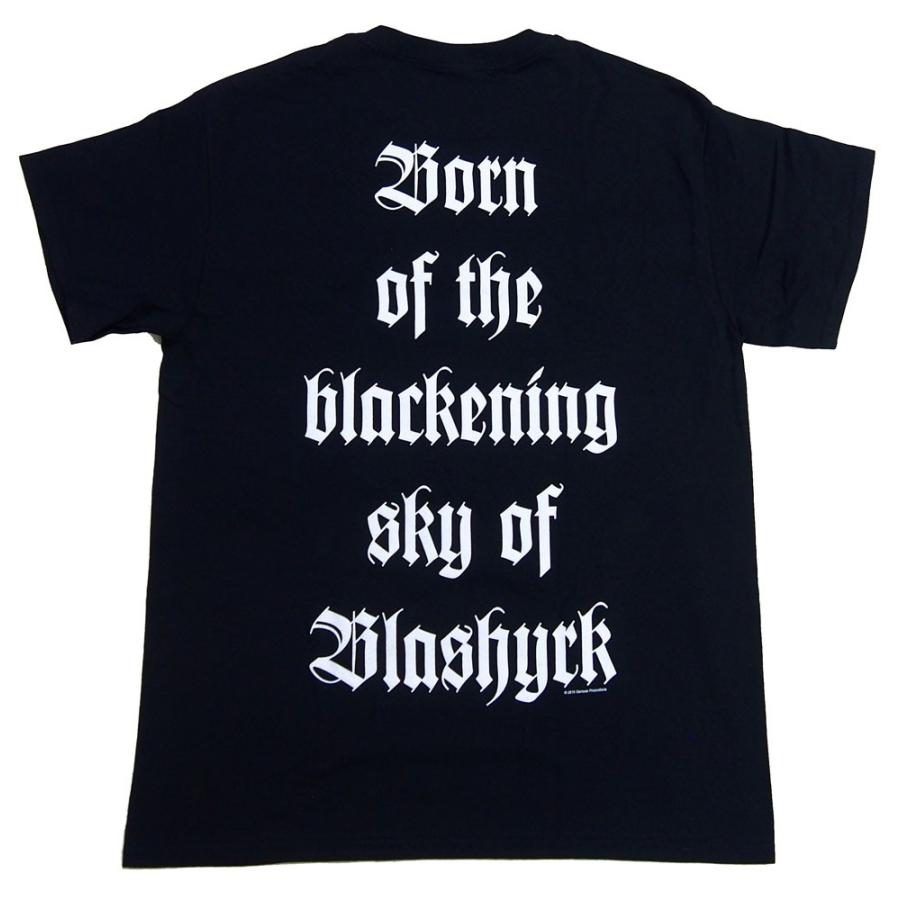 イモータル IMMORTAL PURE HOLOCAUST オフィシャル ロックTシャツ
