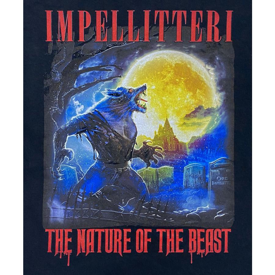 90s USA製　IMPELLITTERI インペリテリ　ツアー Ｔシャツ　Ｌ 90s USA製 IMPELLITTERI インペリテリ ツアー Tシャツ L