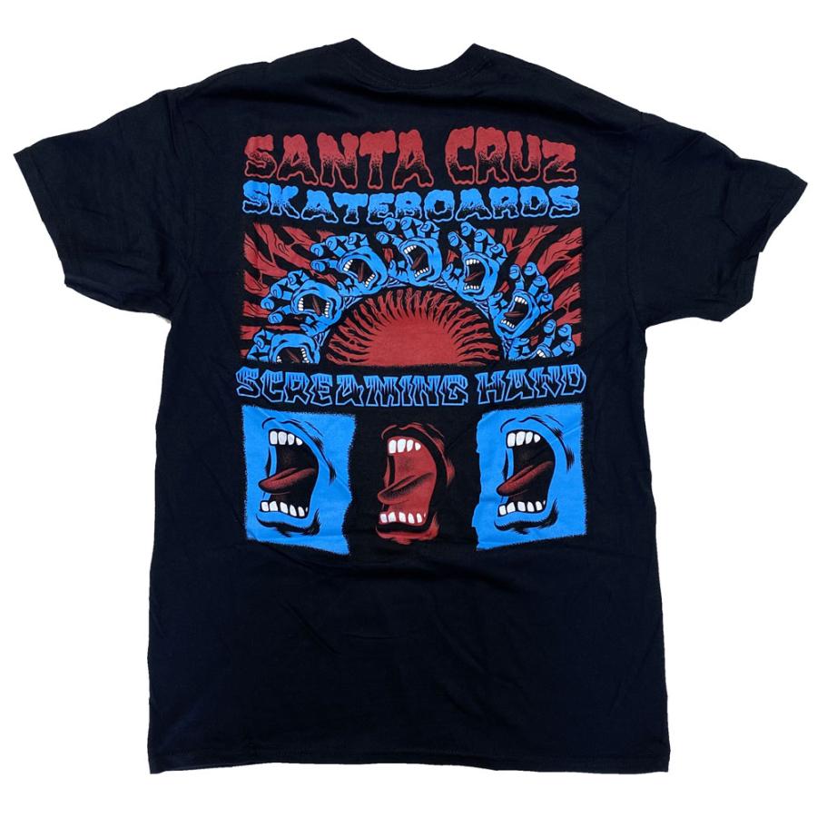 think skates Tシャツ santa cruz plan-b SANTA CRUZ（サンタクルーズ） ・SCREAMING CONNECT・ブラック・T