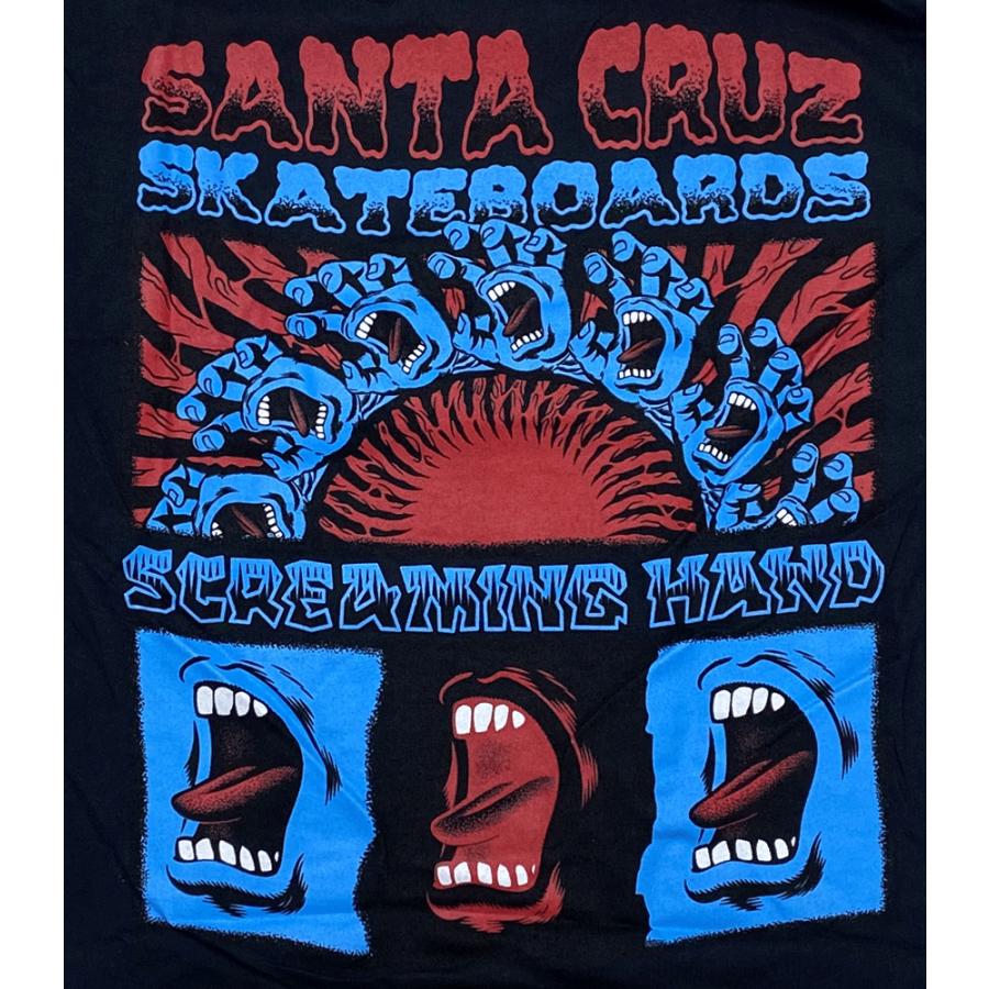SANTA CRUZ（サンタクルーズ） ・SCREAMING CONNECT・ブラック・T