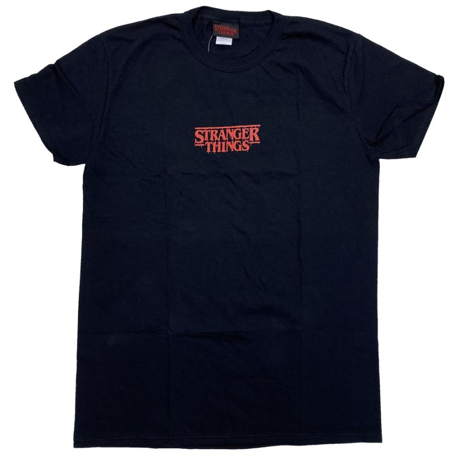 STRANGER THINGS・ストレンジャー・シングス・未知の世界・DEMOGORGON