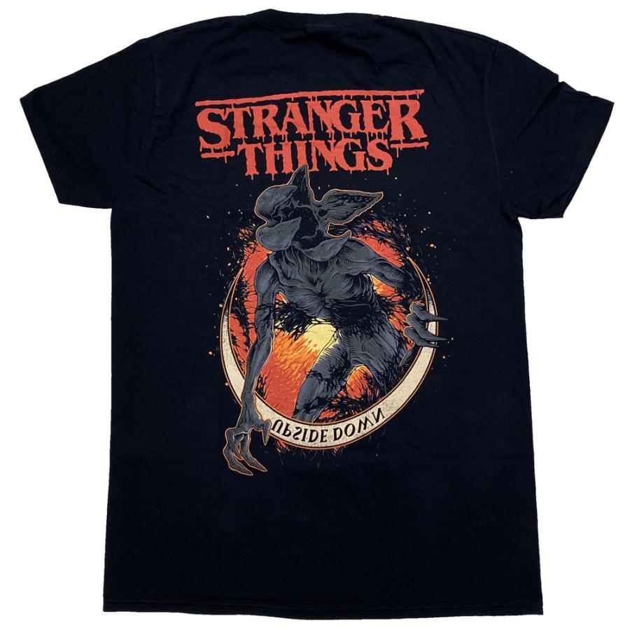 Stranger Things TRIBUTE ストレンジャーシングス ストレンジャーシングス 高級フレーム付きミニポスター Stranger