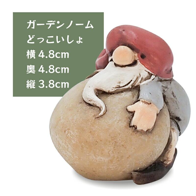 プティフレンズ プティフレンズ ガーデンノーム どっこいしょ 621504 |  | 01