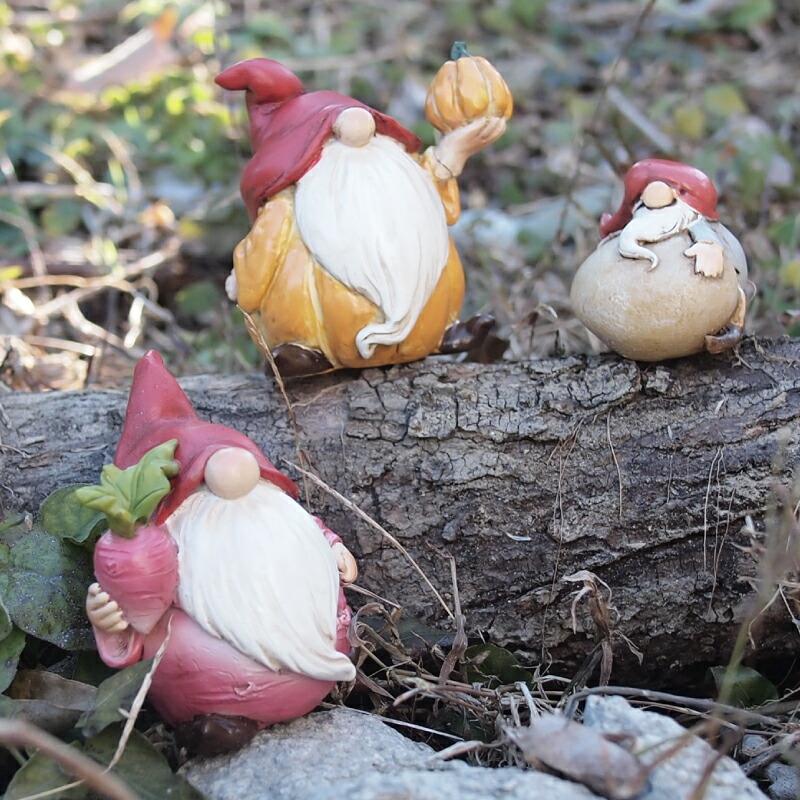 プティフレンズ プティフレンズ ガーデンノーム どっこいしょ 621504 |  | 02