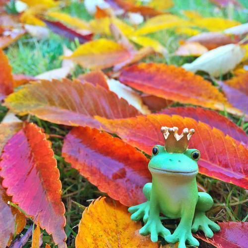 Copeau(コポー） コポー　王冠のカエル　 70547 かえる カエル copeau 雑貨 置き物 置物 小物 ガーデン ミニチュア ダイカイ | 