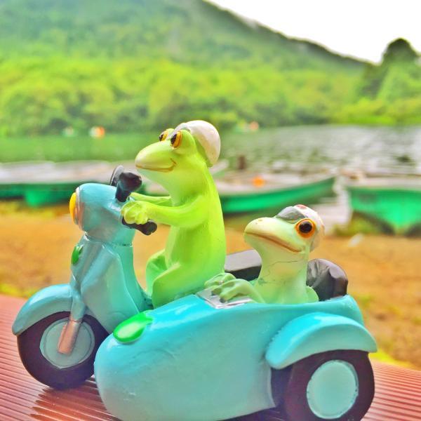 Copeau(コポー） コポー　サイドカードライブ 70850 かえる カエル copeau 雑貨 置き物 置物 小物 ガーデン ミニチュア ダイカイ |  | 01