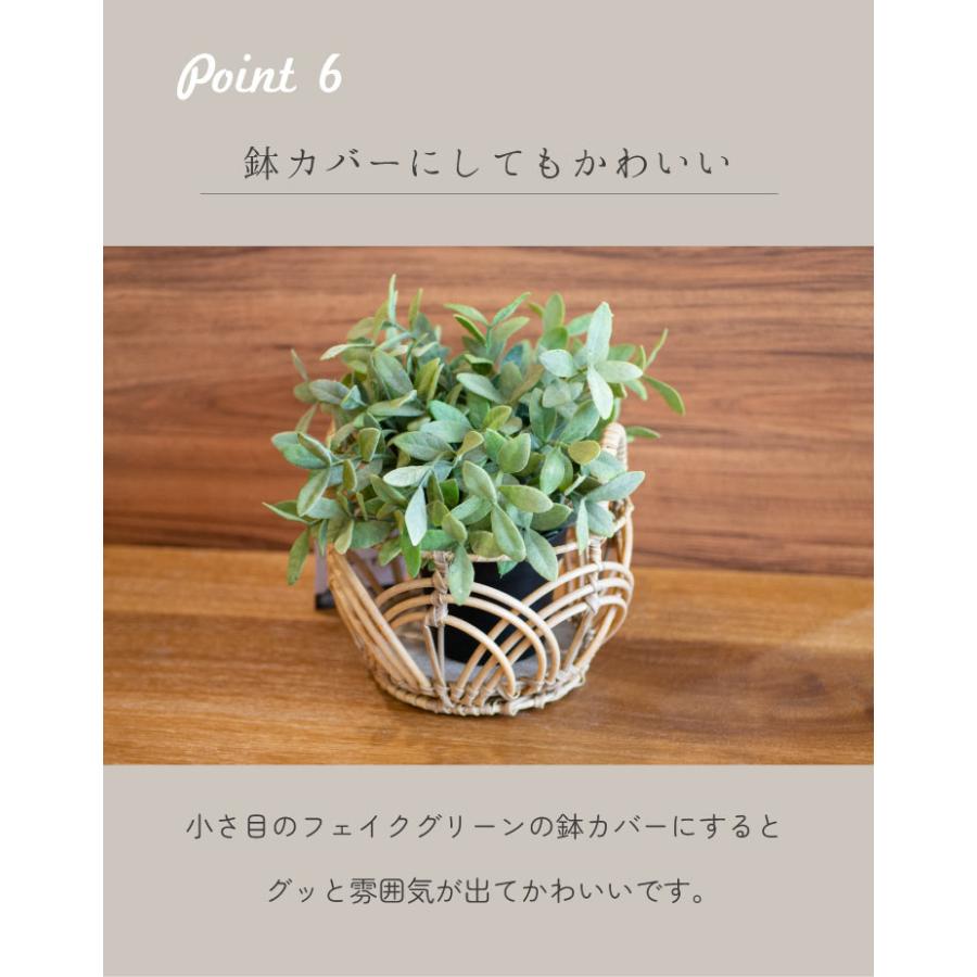 Towc(トーク) トークPEPP ペタル ラウンドS 73523 |  | 07