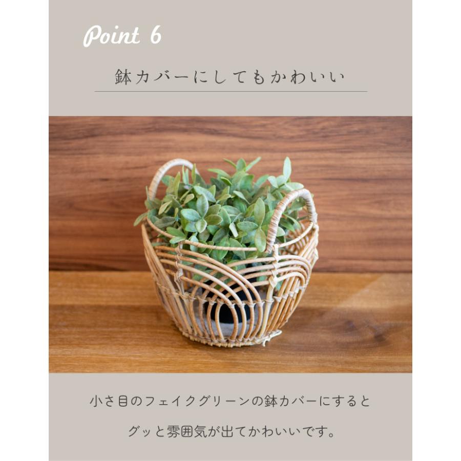 Towc(トーク) トークPEPP ペタル ラウンドM 73524 |  | 07