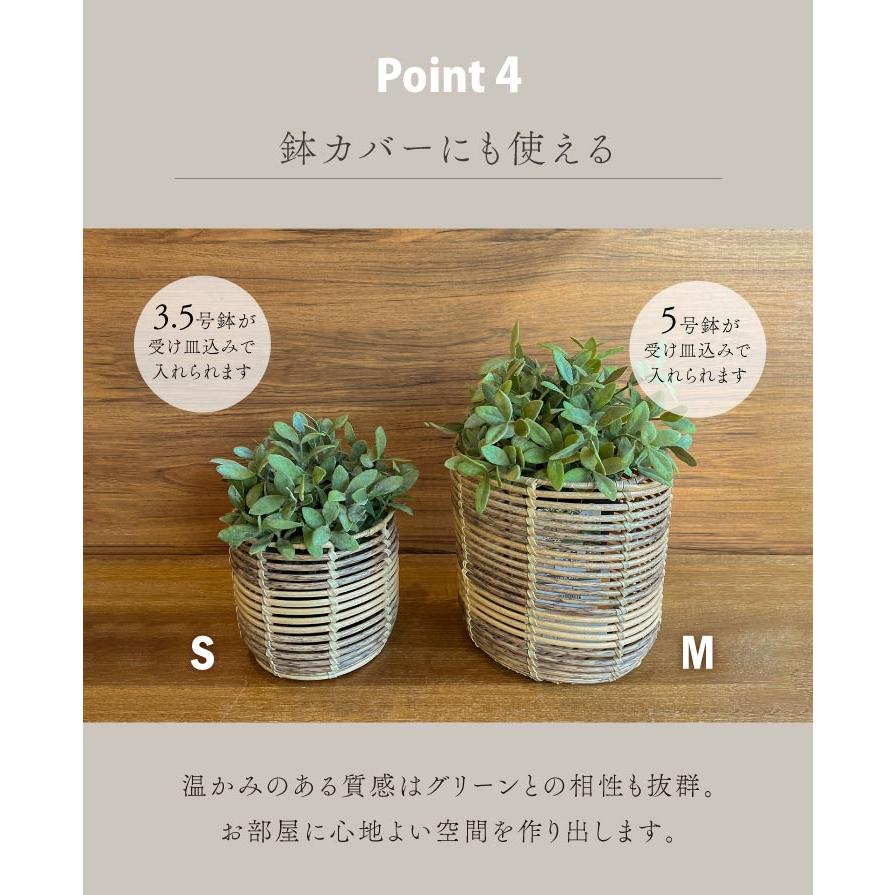 Towc(トーク) トークPEPP ラウタ ラウンドS 73852 |  | 06