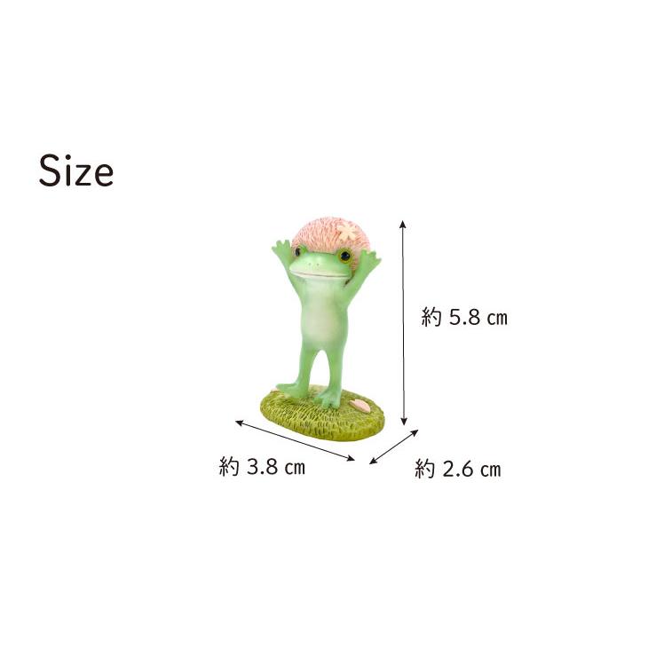 Copeau(コポー） コポー　桜色のアフロカエル 74168 かえる カエル copeau 雑貨 置き物 置物 小物 ガーデン ミニチュア ダイカイ |  | 05