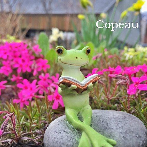 Copeau(コポー） コポー　読書するカエル 79205 かえる カエル copeau 雑貨 置き物 置物 小物 ガーデン ミニチュア ダイカイ | 