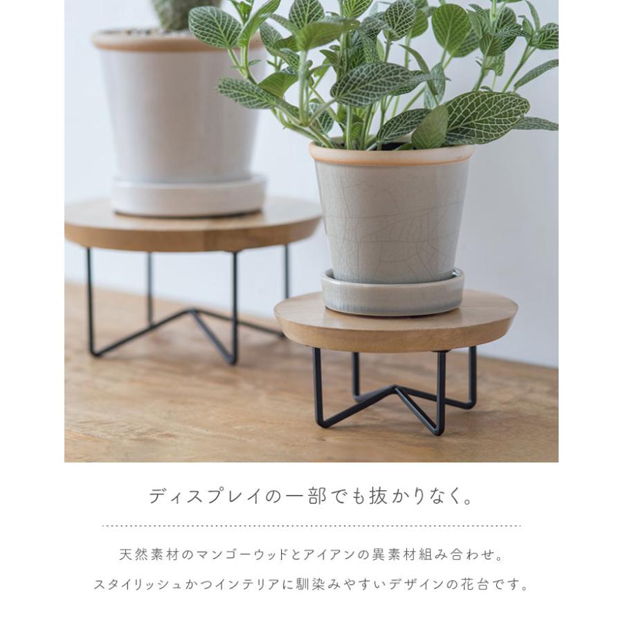 41359 サークルコンポート 41359 |  | 01