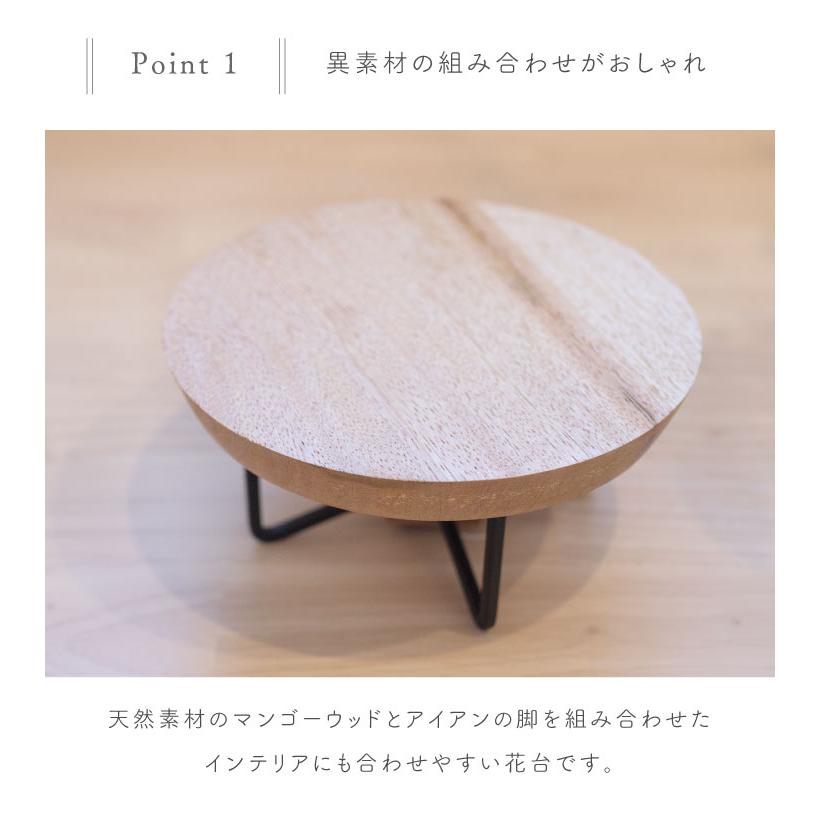 41359 サークルコンポート 41359 |  | 02