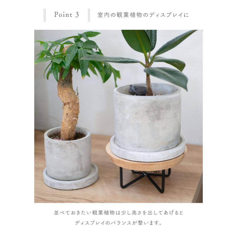 41359 サークルコンポート 41359 |  | 05