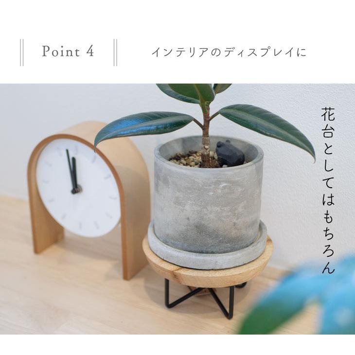 41359 サークルコンポート 41359 |  | 06