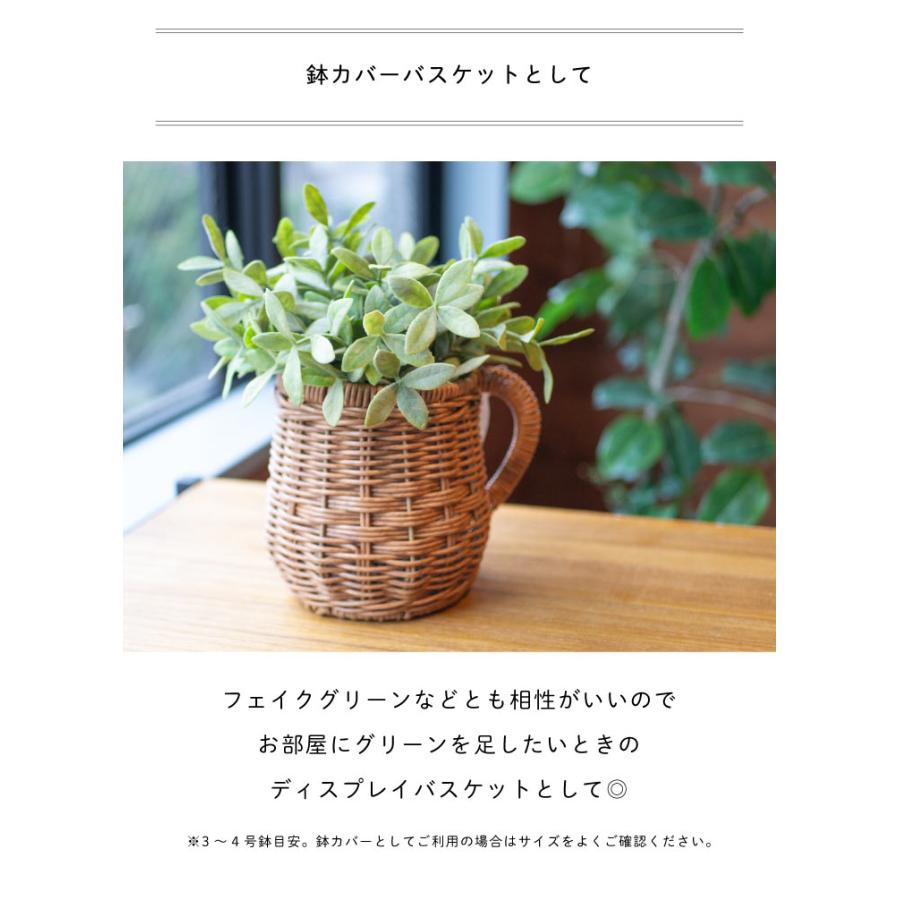 Towc(トーク) ジョルジア　PE柳ガーデンバスケット　ワンハンドルピッチャー |  | 12