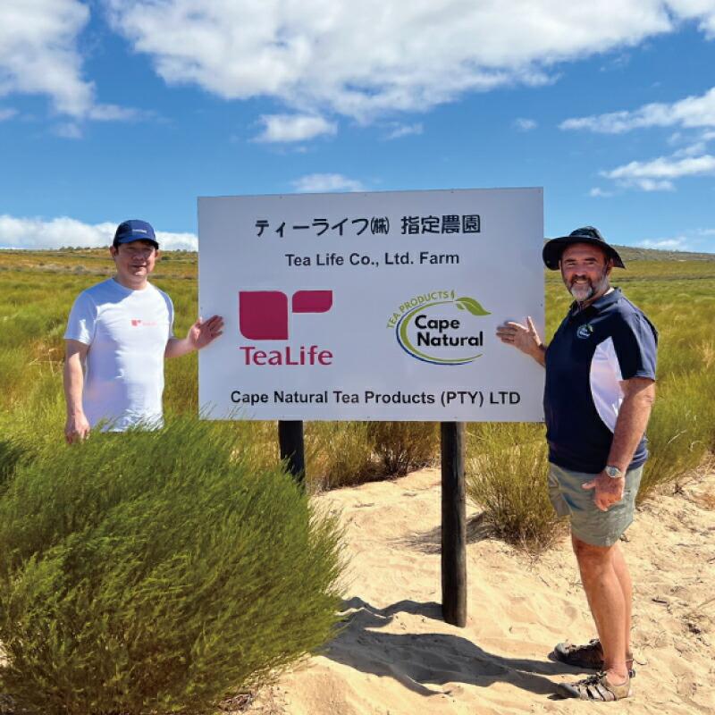 にゃふにゃふ ★5　にゃふにゃふ茶　ルイボスティー　ありがとにゃ |  | 06