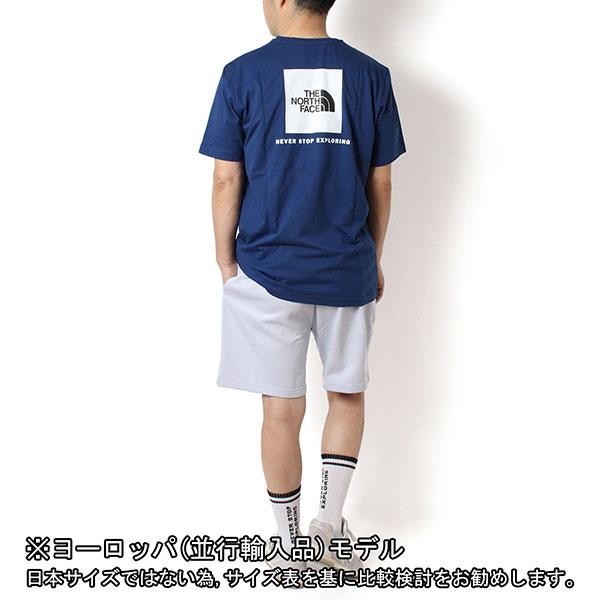 THE NORTH FACE ザノースフェイス M S/S BOX NSE TEE ボックス T