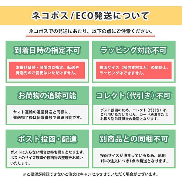 THE NORTH FACE（ザ ノースフェイス） [ネコポス発送] 26SSモデル ロゴ