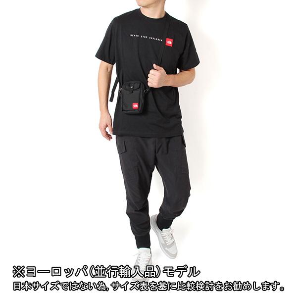 THE NORTH FACE（ザ ノースフェイス） [ネコポス発送] 26SSモデル ロゴ