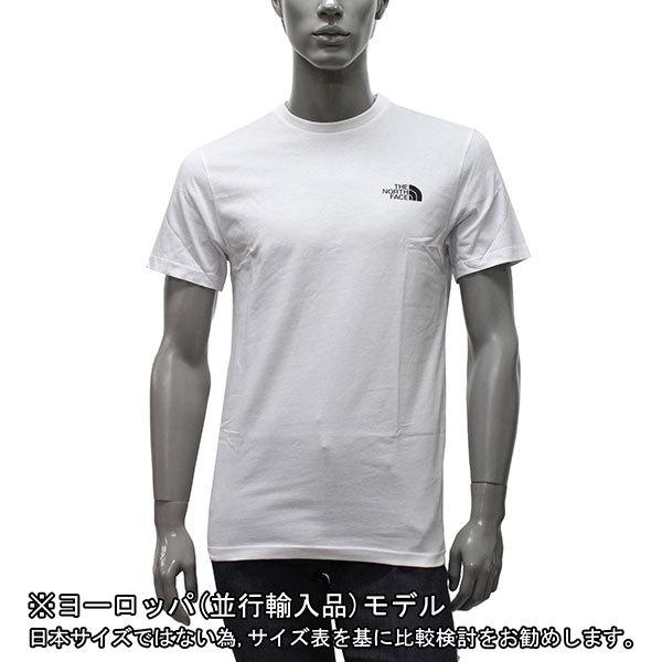 the north face simple dome