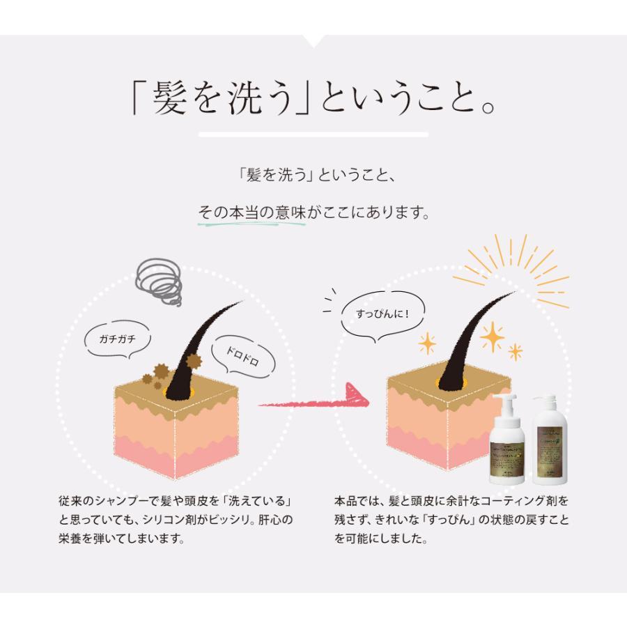 プラクリティ シャンプードサロン/泡ボトル・600ml |  | 04