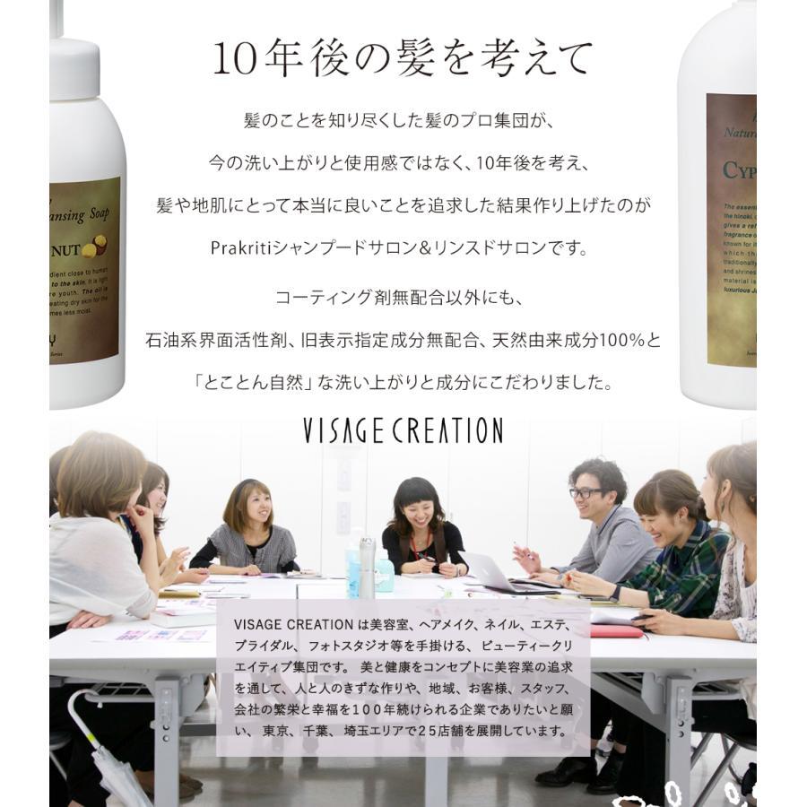 プラクリティ リンスドサロン/ボトル・600ml |  | 07