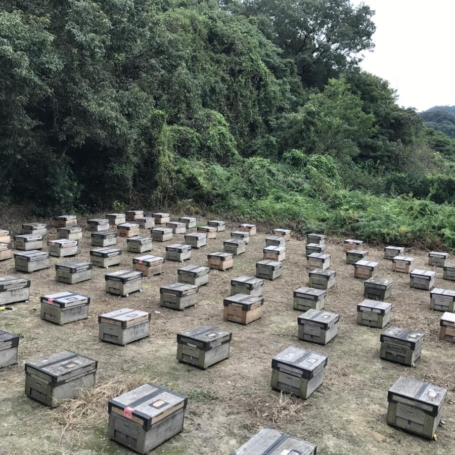 北海道東神楽町産蜂蜜 クローバー200g |  | 05