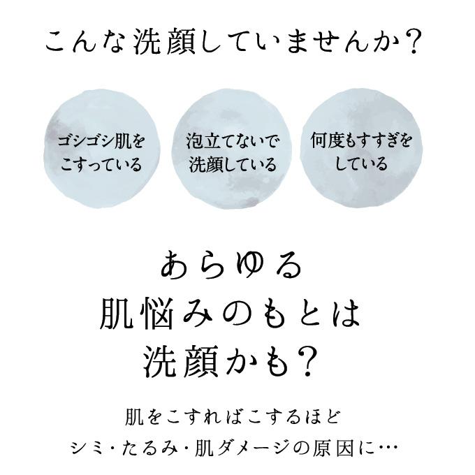 ラブミータッチ クレンジングソープ泡 ホームケアLMT 250mL 上原恵理 洗顔 クレンジング さわらない美容 美容大事典 辞典 本 | Lov me Touch | 02