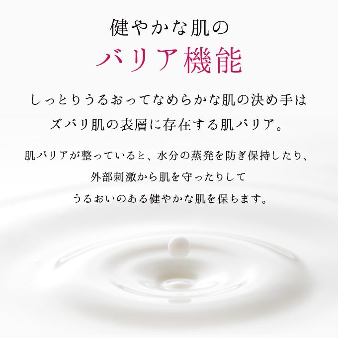ラブミータッチ スキンバリアナノミルク 50mL 乳液 ナノエマルジョン 乾燥 保湿 セラミド 上原恵理 医師 さわらない美容 美容大事典 辞典 本 | Lov me Touch | 04