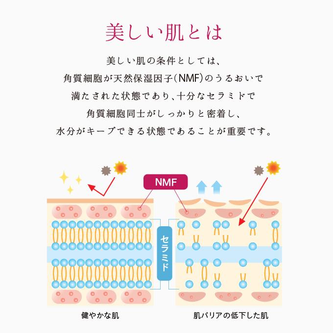 ラブミータッチ セラミド 乳液 ラブミータッチ スキンバリアナノミルク リッチ 高濃度セラミド15% 50mL 上原恵理 医師 さわらない美容 美容大事典 辞典 本｜drbeautopia｜05