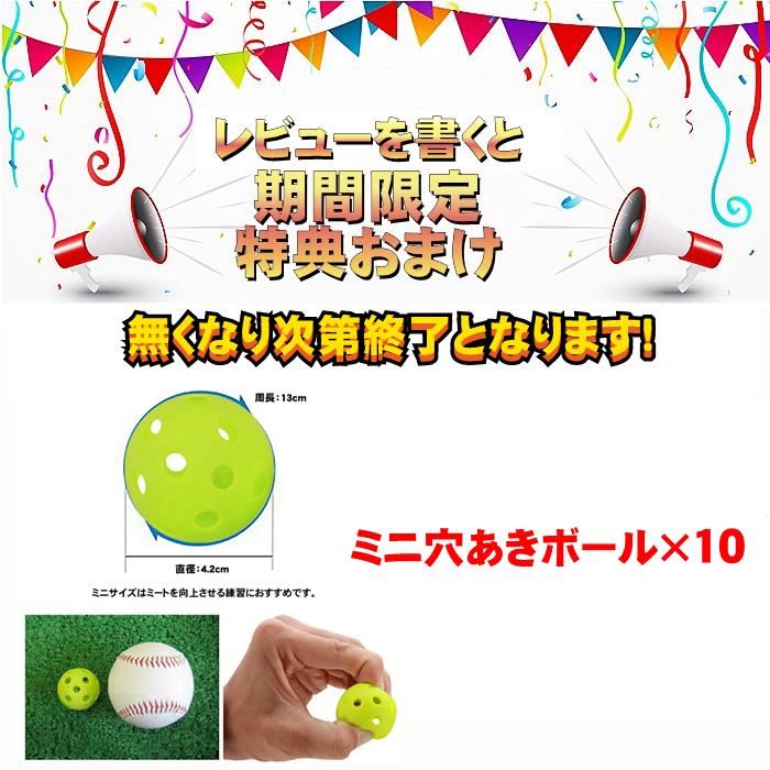 バッティングネット　穴あきボール、ボール投げ機付き 野球 練習 ネット バッティングネット 穴あきボール セット ピッチング