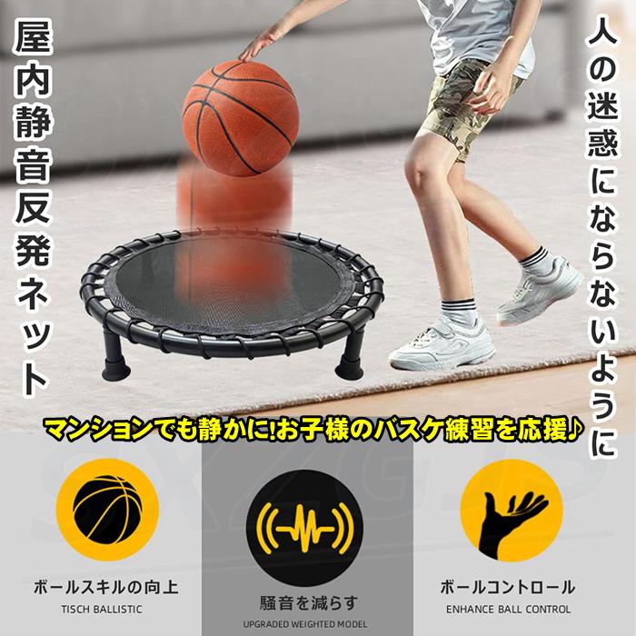 バスケ ドリブル ネット サイレントドリブラー 防音 マット 室内 練習 