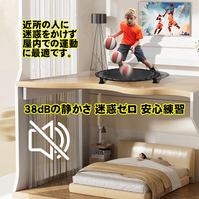 バスケ ドリブル ネット サイレントドリブラー 防音 マット 室内 練習