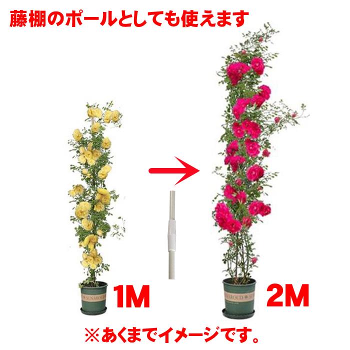 トンネル支柱 支柱 園芸 1m 2m グラスファイバーポール FRP支柱 トンネル支柱 支柱 園芸 1m 2m グラスファイバーポール FRP支柱