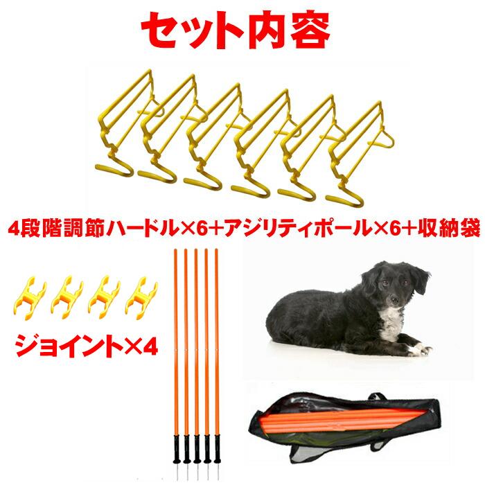 Rosewood アジリティ 小型犬用ハードル ドッグアジリティ イギリスROSEWOOD スモールドッグハードル