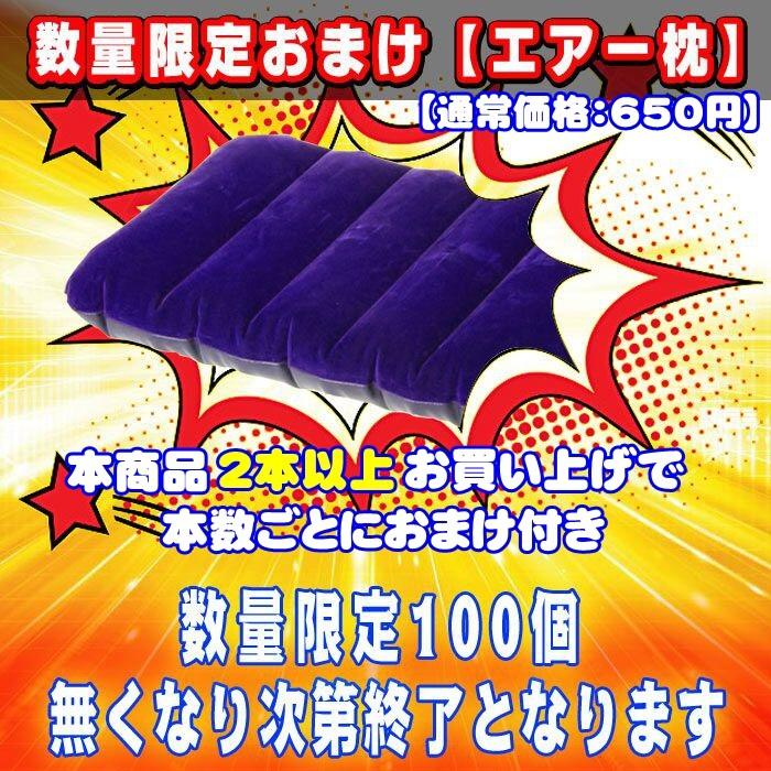 寝袋 マット セット キャンプ マットレス 折り畳み レジャーマット