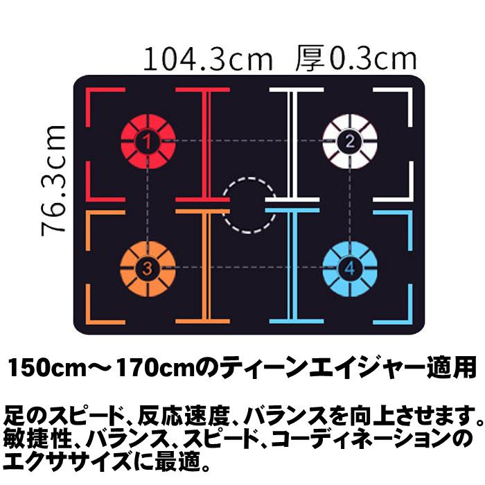 バスケ 練習マット 室内 ドリブル マット バスケットボール ミニ 5号 7