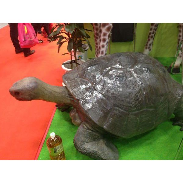 アニマルビッグフィギュア【ガラパゴスの陸ガメ】（等身大フィギュア