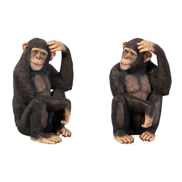 アニマル ビッグフィギュア【チンパンジー】（等身大フィギュア