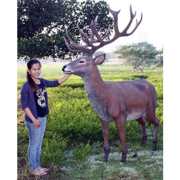 アニマルビッグフィギュア【ビッグレッド ディアー（鹿）】 ※この商品