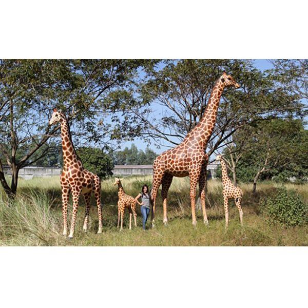 4M Medieval Castle Building Kit ブロック おもちゃ