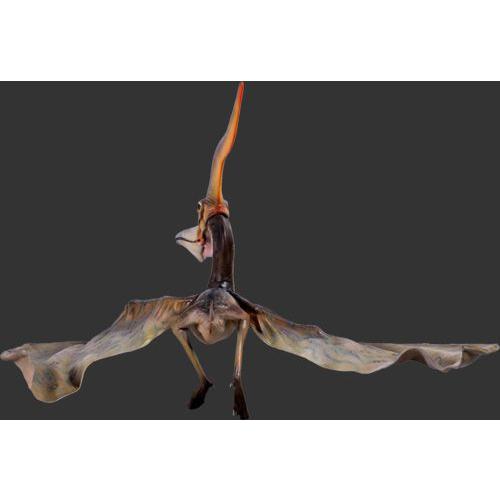 全幅144cm！プテラノドン（翼竜）中型フィギュアD（恐竜等身大