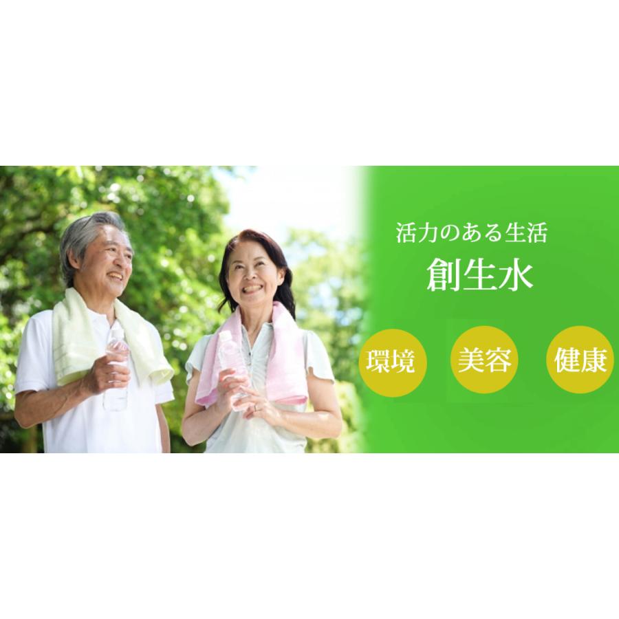 創生水・瓶 1箱（1.8L×6本）6本分、創生水入り 1升ビン : ドリーム 