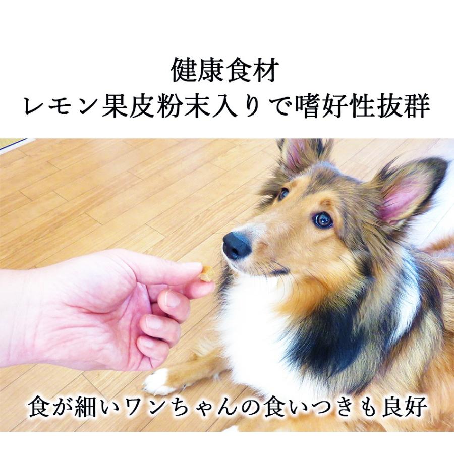 ドッグフード 犬用おやつ 国産 無添加 レモンキューブ おためしセット 100g X 2袋 犬 体臭 口臭 ダイエット 犬用 サプリメント Huw0009s2 ドリームリアライズ 通販 Yahoo ショッピング